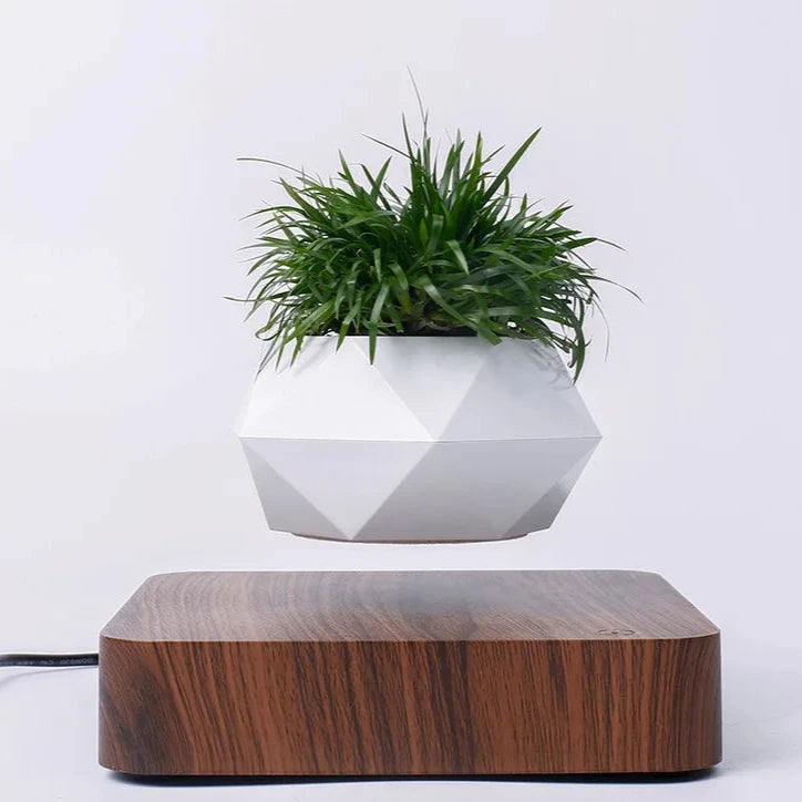 AirGrow Levitating Plant Pot